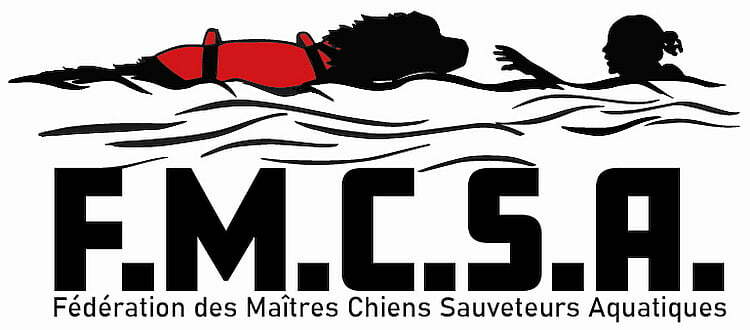 Logo FMCSA